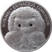 20 Roubles Hedgehogs, Belarus, 2011 reverse image
