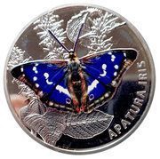 20 Roubles The purple Emperor, Belarus, 2013 reverse image