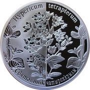20 Roubles Square-stemmed St. John’s Wort, Belarus, 2013 reverse image