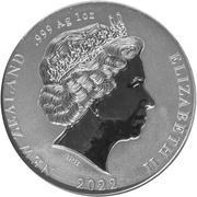 1 Dollar - Elizabeth II 4th Portrait; Apteryx Owenii Kiwi obverse image
