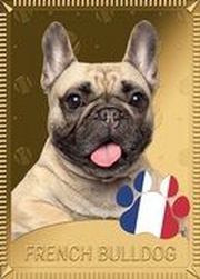 1 Dollar - Elizabeth II French bulldog, New Zealand, 2022 reverse image