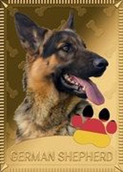 1 Dollar - Elizabeth II German shepherd, New Zealand, 2022 reverse image