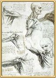 1 Dollar - Elizabeth II Anatomical Studies of the Shoulder, New Zealand, 2022 reverse image