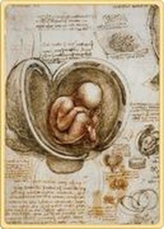 1 Dollar - Elizabeth II Studies of the Fetus in the Womb, New Zealand, 2022 reverse image