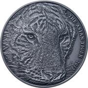 5 Dollars - Elizabeth II Asian Tiger, New Zealand, 2013 reverse image