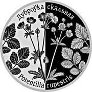 1 Rouble Potentilla Rupestris, Belarus, 2017 reverse image