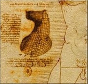 1 Dollar - Elizabeth II Horse Armour, Niue, 2011 reverse image