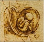 1 Dollar - Elizabeth II Study of an Embryo, Niue, 2011 reverse image