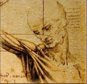 1 Dollar - Elizabeth II Anatomic study of the shoulder, Niue, 2011 reverse image