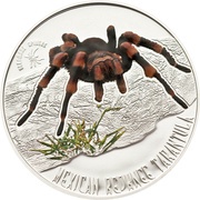 1 Dollar - Elizabeth II Mexican Redknee Tarantula, Niue, 2012 reverse image