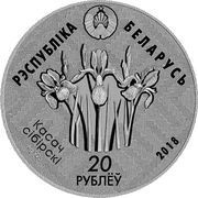 20 Roubles Reserve "Kotra" obverse image