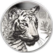 1 Dollar - Elizabeth II Year of the Tiger, Niue, 2022 reverse image