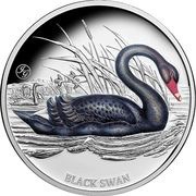 1 Dollar - Charles III Black Swan, Niue, 2024 reverse image