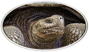 2 Dollars - Elizabeth II Lonesome George, Niue, 2015 reverse image