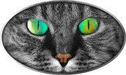 2 Dollars - Elizabeth II Kitty Cat, Niue, 2017 reverse image
