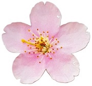 2 Dollars - Elizabeth II Cherry Blossom, Niue, 2021 reverse image