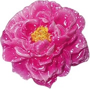 2 Dollars - Elizabeth II Peony, Niue, 2022 reverse image
