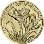 10 Dollars - Elizabeth II Carpathian Wonder, Niue, 2022 reverse image