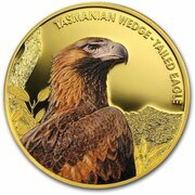 100 Dollars - Elizabeth II Tasmanian Wedge-Tailed Eagle, Niue, 2012 reverse image