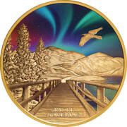 100 Dollars - Charles III Aurora Borealis, Niue, 2023 reverse image