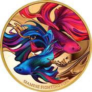100 Dollars - Charles III Siamese Fighting Fish, Niue, 2024 reverse image