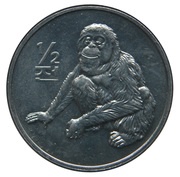 ½ Chon Orangutan reverse image