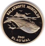 20 won Balaenopte Musculus reverse image