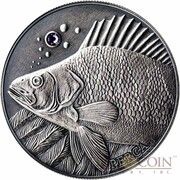 10 Diners Perch, Andorra, 2014 reverse image