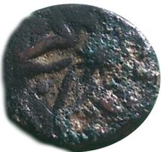 Manghir - Anonymous attributed to Bayezid II, Tire, with star-shaped flower obverse image