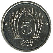 5 Paisa Pattern reverse image