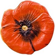 1 Dollar Poppy, Palau, 2008 reverse image