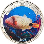 1 Dollar Orange-lined Triggerfish, Palau, 2009 reverse image