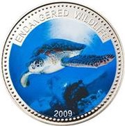 1 Dollar Green Turtle reverse image
