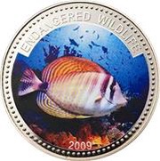 1 Dollar Sailfin Tang Fish reverse image