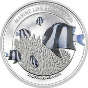 1 Dollar White Tail Damsel fish, Palau, 2015 reverse image