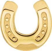 1 Dollar Golden Horseshoe reverse image
