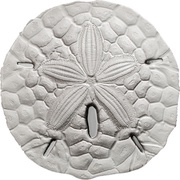 1 Dollar Sand Dollar, Palau, 2017 reverse image