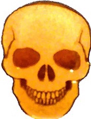 1 Dollar Skull, Palau, 2017 reverse image