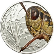 2 Dollars Desert Locust, Palau, 2010 reverse image