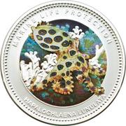 5 Dollars Blue Ringed Octopus, Palau, 2012 reverse image