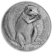 5 Dollars Barbary Ground Squirrel, Palau, 2013 reverse image