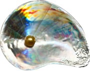 5 Dollars Hyriopsis cumingii, Palau, 2014 reverse image