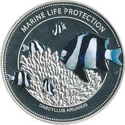 5 Dollars White Tail Damselfish, Palau, 2015 reverse image