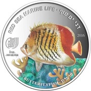5 Dollars Butterflyfish, Palau, 2016 reverse image