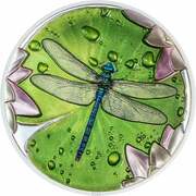5 Dollars Dragonfly, Palau, 2024 reverse image