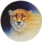 20 Dollars Asiatic Cheetah, Palau, 2023 reverse image