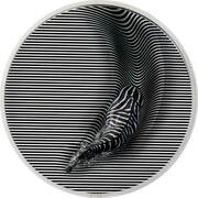 20 Dollars Zebra, Palau, 2023 reverse image