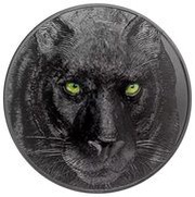 25 Dollars Black Panther, Palau, 2022 reverse image