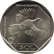 1 Sol White-winged Guan, Peru, 2018 reverse image