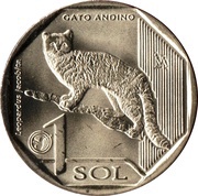 1 Sol Andean Mountain Cat, Peru, 2019 reverse image